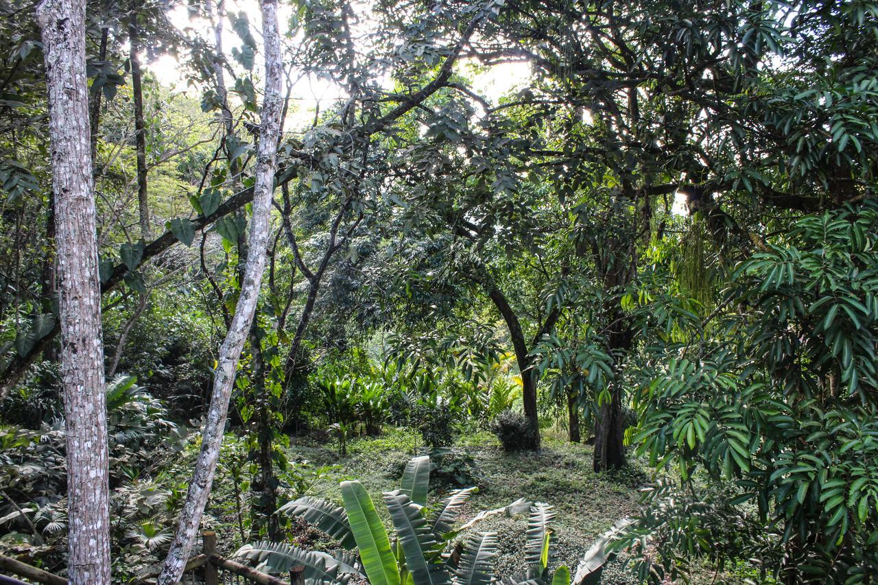 Hotel Rio Escondido San Jerónimo Exteriér fotografie